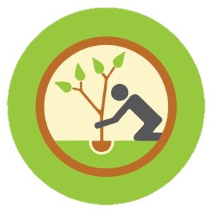Tree Plantation